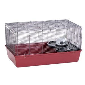 Hamster and best sale cage for sale